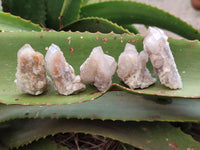 Natural Limonite Fairy Spirit Quartz Clusters x 35 From Boekenhouthoek, South Africa