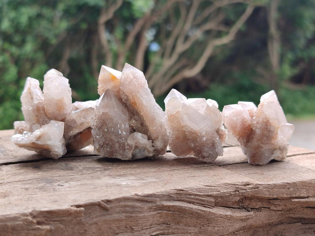 Natural Limonite Fairy Spirit Quartz Clusters x 35 From Boekenhouthoek, South Africa
