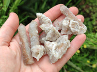 Natural Limonite Fairy Spirit Quartz Clusters x 35 From Boekenhouthoek, South Africa