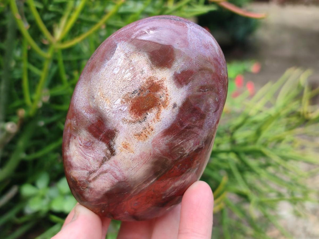 Polished Red Podocarpus Petrified Wood Standing Free Forms x 4 From Mahajanga, Madagascar