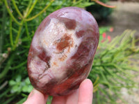 Polished Red Podocarpus Petrified Wood Standing Free Forms x 4 From Mahajanga, Madagascar