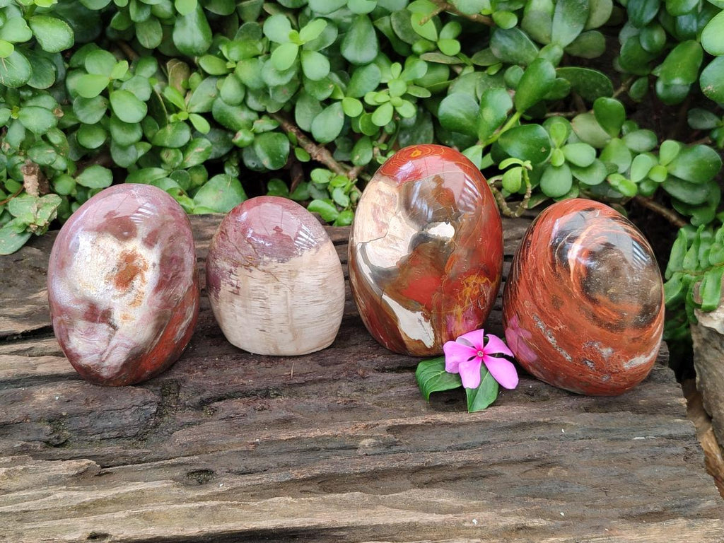 Polished Red Podocarpus Petrified Wood Standing Free Forms x 4 From Mahajanga, Madagascar