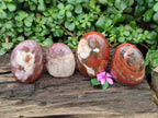 Polished Red Podocarpus Petrified Wood Standing Free Forms x 4 From Mahajanga, Madagascar
