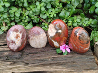 Polished Red Podocarpus Petrified Wood Standing Free Forms x 4 From Mahajanga, Madagascar