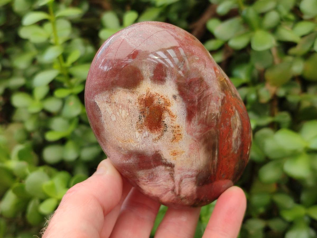 Polished Red Podocarpus Petrified Wood Standing Free Forms x 4 From Mahajanga, Madagascar