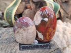 Polished Red Podocarpus Petrified Wood Standing Free Forms x 4 From Mahajanga, Madagascar