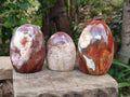 Polished Red Podocarpus Petrified Wood Standing Free Forms x 4 From Mahajanga, Madagascar