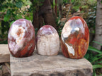 Polished Red Podocarpus Petrified Wood Standing Free Forms x 4 From Mahajanga, Madagascar