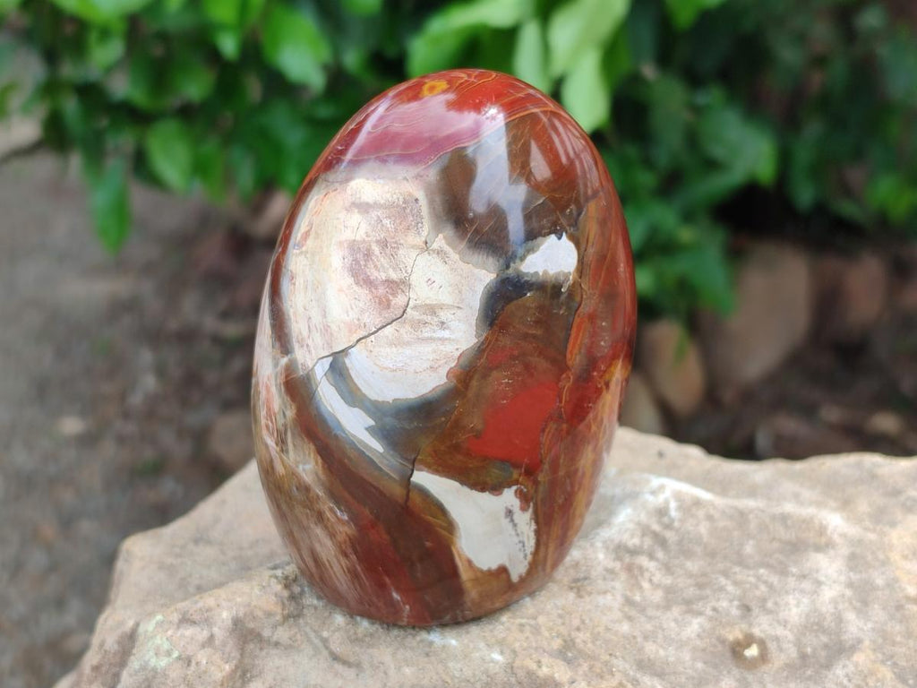 Polished Red Podocarpus Petrified Wood Standing Free Forms x 4 From Mahajanga, Madagascar