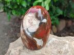 Polished Red Podocarpus Petrified Wood Standing Free Forms x 4 From Mahajanga, Madagascar