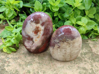 Polished Red Podocarpus Petrified Wood Standing Free Forms x 4 From Mahajanga, Madagascar