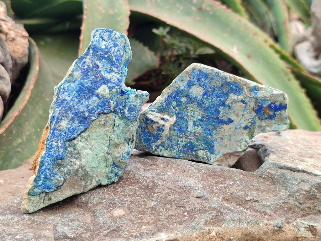 Natural Azurite And Malachite On Dolomite Specimens x 12 From Kaokoveld, Namibia