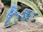 Natural Azurite And Malachite On Dolomite Specimens x 12 From Kaokoveld, Namibia