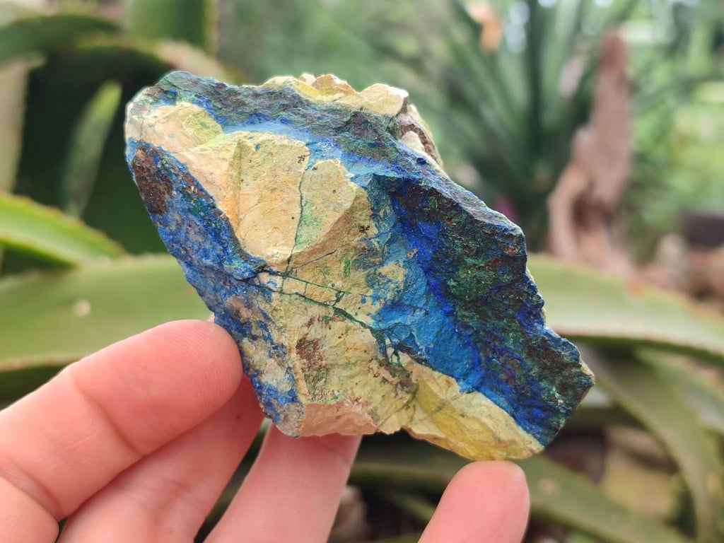 Natural Azurite And Malachite On Dolomite Specimens x 12 From Kaokoveld, Namibia