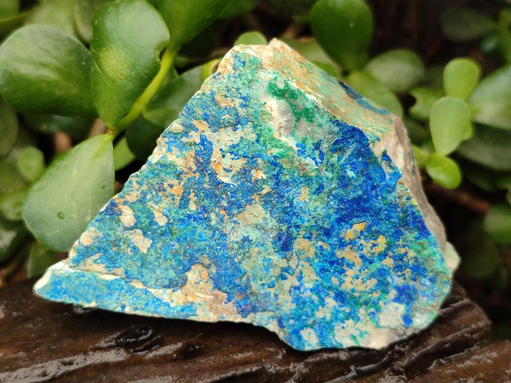 Natural Azurite And Malachite On Dolomite Specimens x 12 From Kaokoveld, Namibia