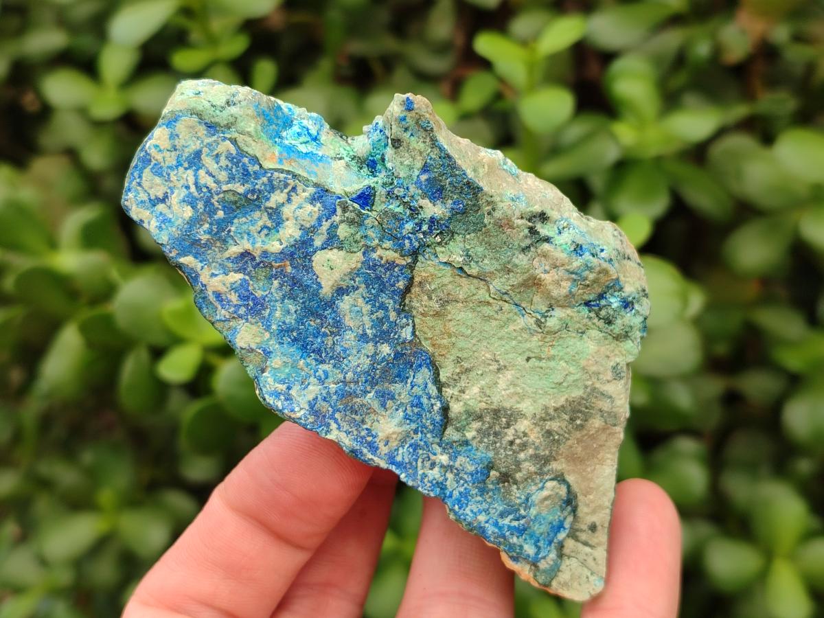 Natural Azurite And Malachite On Dolomite Specimens x 12 From Kaokoveld, Namibia