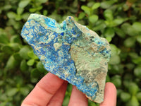 Natural Azurite And Malachite On Dolomite Specimens x 12 From Kaokoveld, Namibia