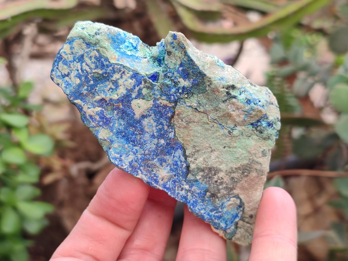 Natural Azurite And Malachite On Dolomite Specimens x 12 From Kaokoveld, Namibia