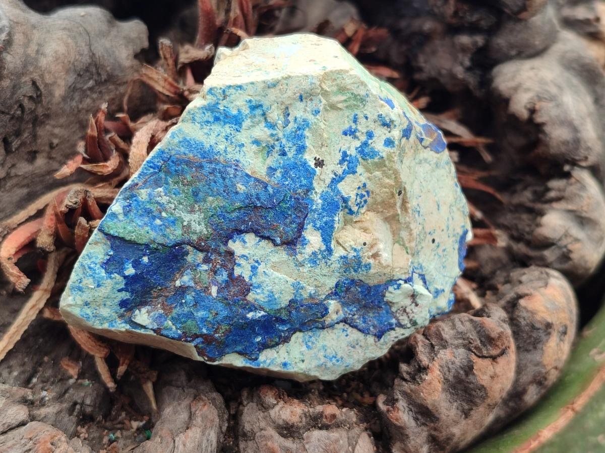 Natural Azurite And Malachite On Dolomite Specimens x 12 From Kaokoveld, Namibia
