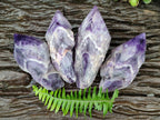 Polished Chevron Amethyst Witches Hat Crystals x 4 From Zambia