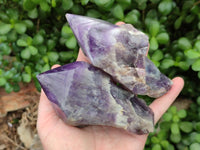 Polished Chevron Amethyst Witches Hat Crystals x 4 From Zambia