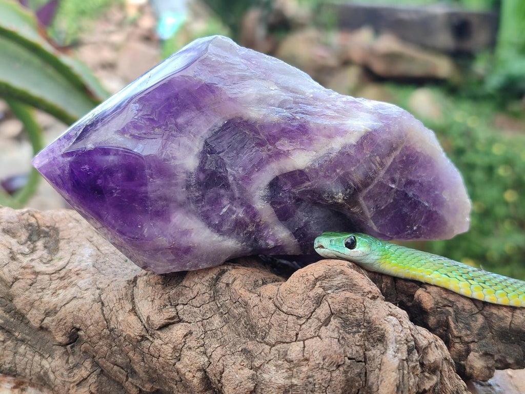 Polished Chevron Amethyst Witches Hat Crystals x 4 From Zambia