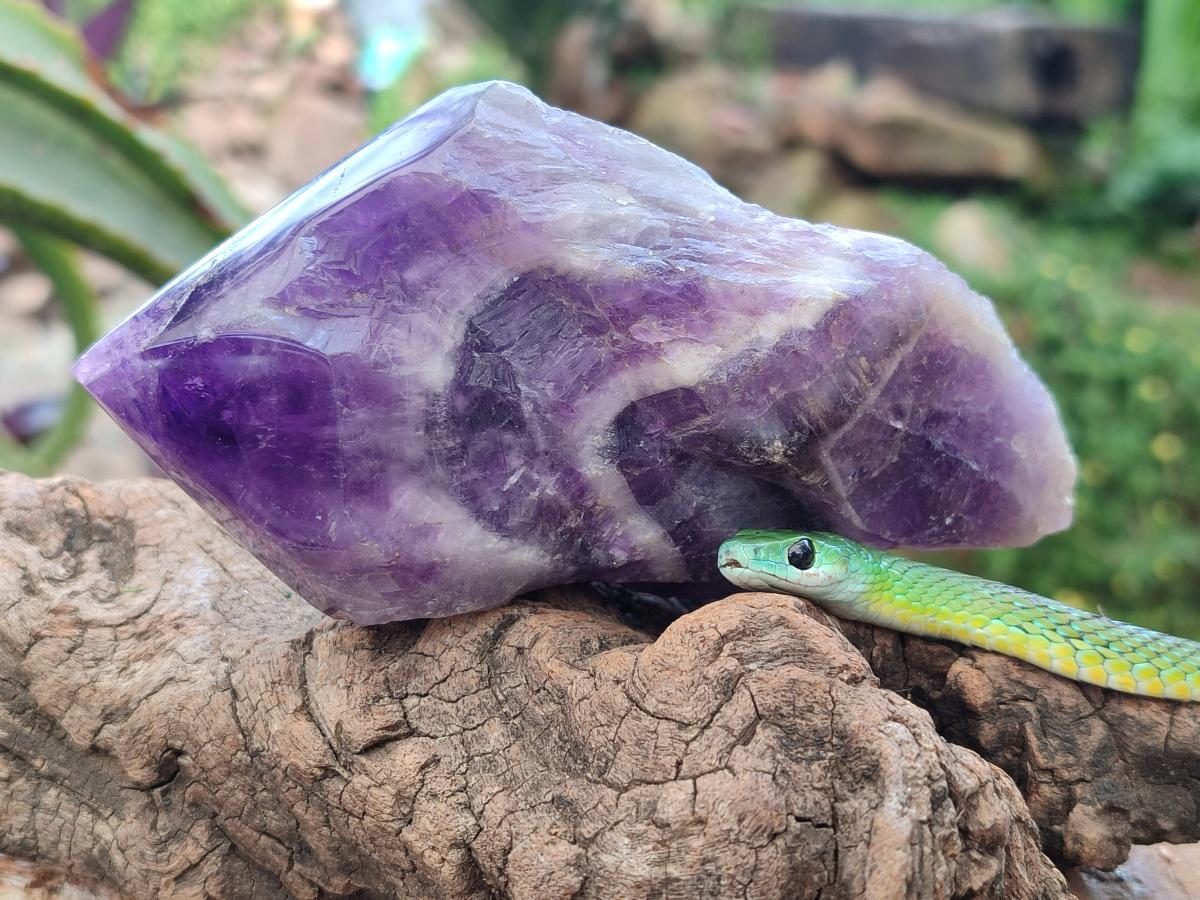 Polished Chevron Amethyst Witches Hat Crystals x 4 From Zambia