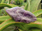 Polished Chevron Amethyst Witches Hat Crystals x 4 From Zambia