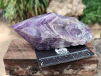 Polished Chevron Amethyst Witches Hat Crystals x 4 From Zambia