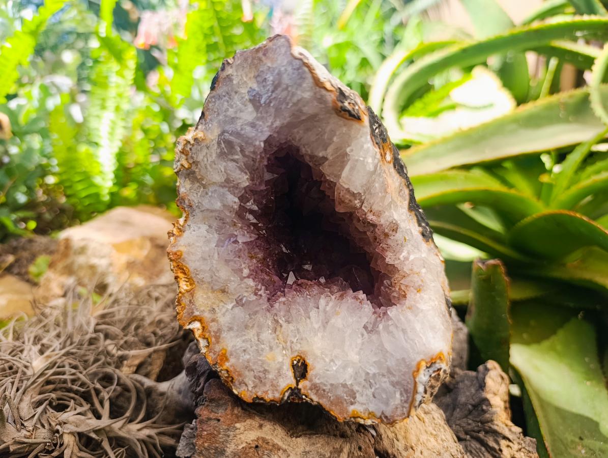 Natural Agate Crystal Centred Geodes x 2 From Zululand, South Africa