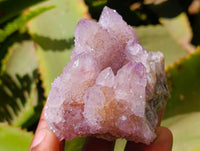 Natural Lilac Amethyst Spirit Quartz Clusters x 6 From Boekenhouthoek, South Africa