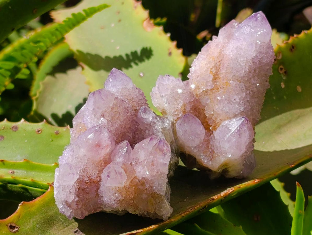 Natural Lilac Amethyst Spirit Quartz Clusters x 6 From Boekenhouthoek, South Africa