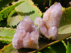 Natural Lilac Amethyst Spirit Quartz Clusters x 6 From Boekenhouthoek, South Africa