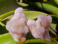 Natural Lilac Amethyst Spirit Quartz Clusters x 6 From Boekenhouthoek, South Africa