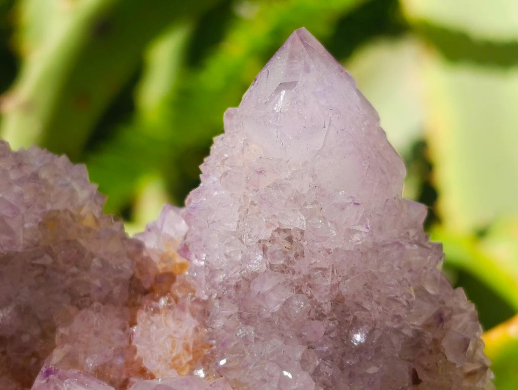 Natural Lilac Amethyst Spirit Quartz Clusters x 6 From Boekenhouthoek, South Africa