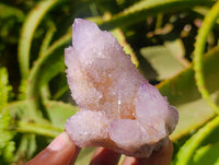 Natural Lilac Amethyst Spirit Quartz Clusters x 6 From Boekenhouthoek, South Africa