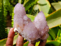 Natural Lilac Amethyst Spirit Quartz Clusters x 6 From Boekenhouthoek, South Africa