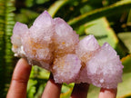 Natural Lilac Amethyst Spirit Quartz Clusters x 6 From Boekenhouthoek, South Africa