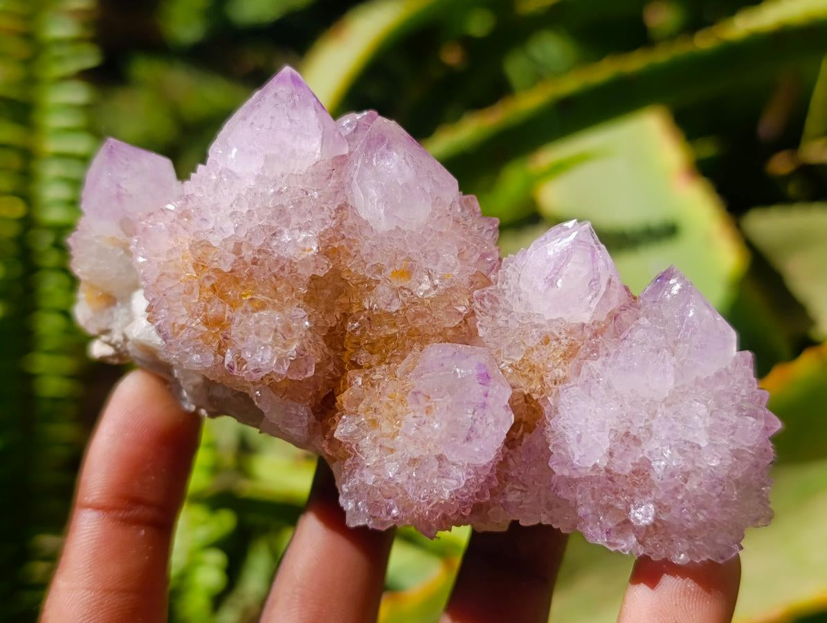 Natural Lilac Amethyst Spirit Quartz Clusters x 6 From Boekenhouthoek, South Africa