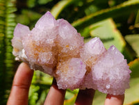 Natural Lilac Amethyst Spirit Quartz Clusters x 6 From Boekenhouthoek, South Africa