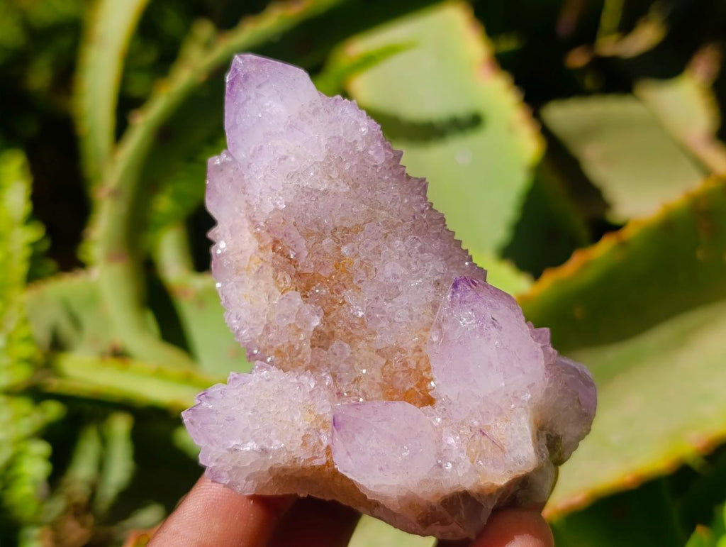 Natural Lilac Amethyst Spirit Quartz Clusters x 6 From Boekenhouthoek, South Africa