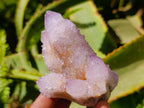 Natural Lilac Amethyst Spirit Quartz Clusters x 6 From Boekenhouthoek, South Africa