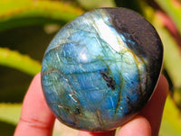 Polished Labradorite Galets x 23 From Tulear, Madagascar
