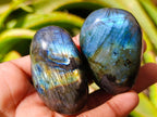 Polished Labradorite Galets x 23 From Tulear, Madagascar