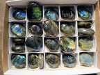 Polished Labradorite Galets x 23 From Tulear, Madagascar