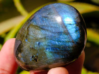 Polished Labradorite Galets x 23 From Tulear, Madagascar