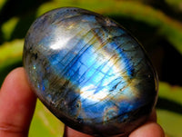 Polished Labradorite Galets x 23 From Tulear, Madagascar