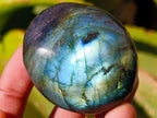Polished Labradorite Galets x 23 From Tulear, Madagascar