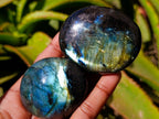 Polished Labradorite Galets x 23 From Tulear, Madagascar