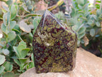 Polished Bastite Dragons Blood Stone Standing Free Forms x 2 From Tshipise, South Africa